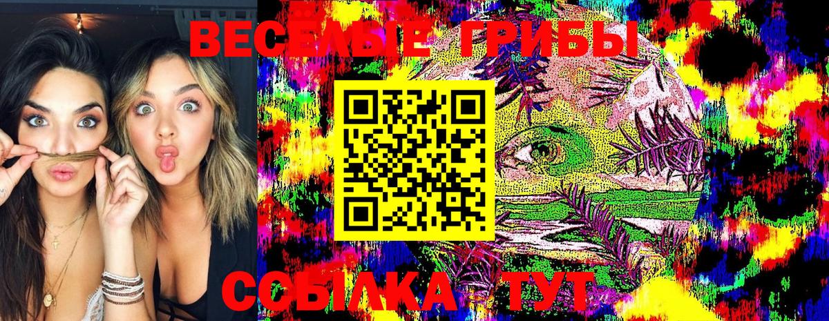 Галлюциногенные грибы мухоморы  Вход с VPN  Псилоцибиновые грибы GOLDEN TEACHER  Истра 